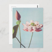 蓮の花の美しい光機械プリント ポストカード (正面/裏面)