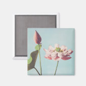 蓮の花の美しい光機械プリント マグネット (正面/裏面)