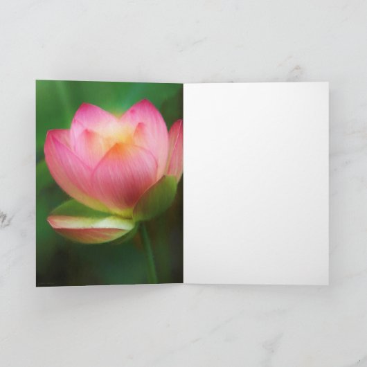 蓮の花は水の歌 カード (内部)