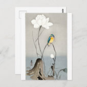 蓮の花を持つカワセミ – Ohara Koson – 白 ポストカード (正面/裏面)