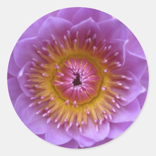 蓮の花シール ラウンドシール (正面)