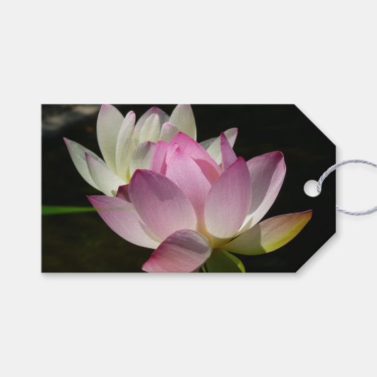 蓮の花ペアII ギフトタグ (正面(横))