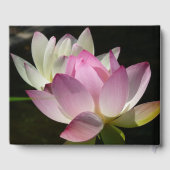 蓮の花ペアII ゲストブック (裏面)