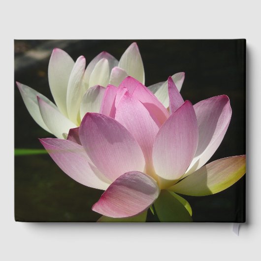 蓮の花ペアII ゲストブック (裏面)