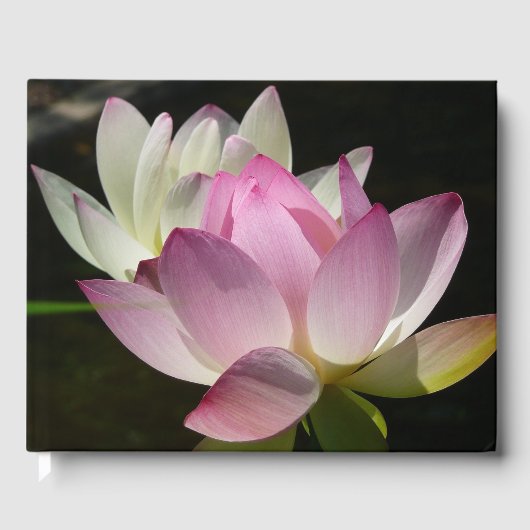 蓮の花ペアII ゲストブック (正面)