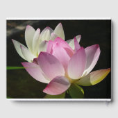 蓮の花ペアII ゲストブック (裏面)