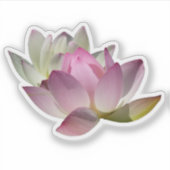蓮の花ペアII シール (正面)