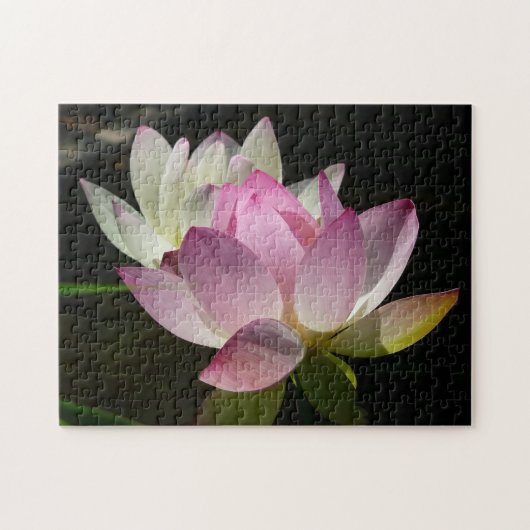 蓮の花ペアII ジグソーパズル (横)