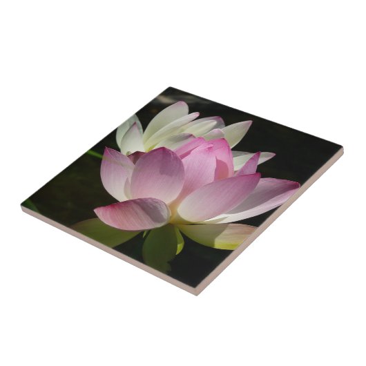 蓮の花ペアII タイル (側面)