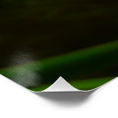 蓮の花ペアII ポスター (コーナー)