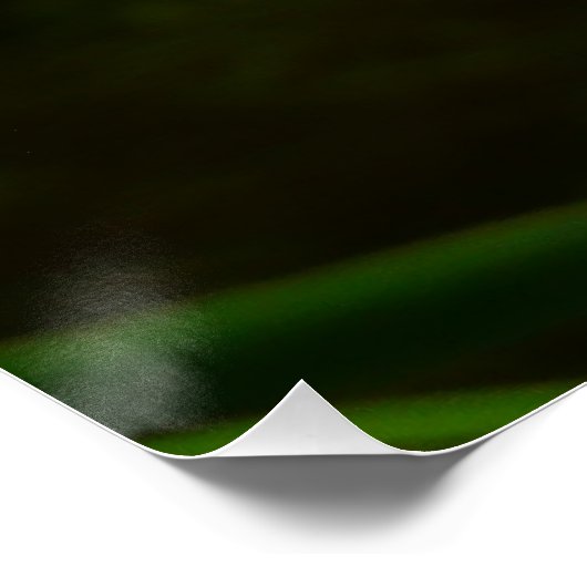 蓮の花ペアII ポスター (コーナー)