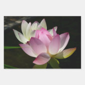 蓮の花ペアII ラッピングペーパーシート (正面)