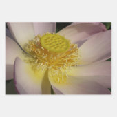 蓮の花ペアII ラッピングペーパーシート (正面3)