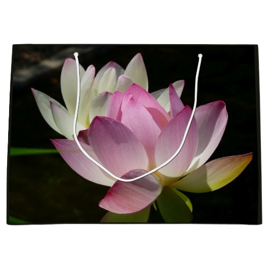 蓮の花ペアII ラージペーパーバッグ (正面)