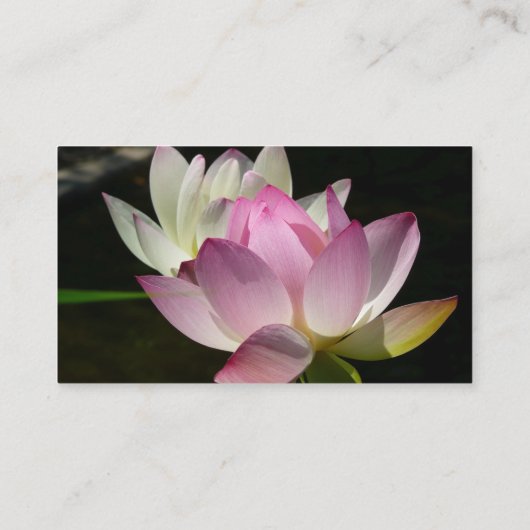 蓮の花ペアII 名刺 (裏面)