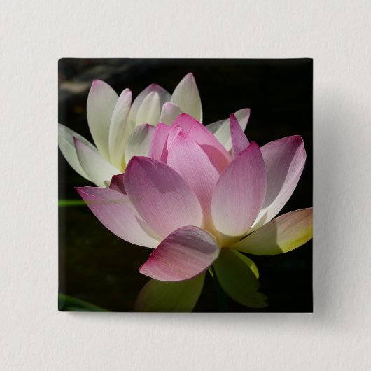 蓮の花ペアII 缶バッジ (正面)