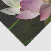 蓮の花ペアII 薄葉紙 (詳細)