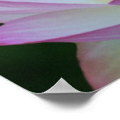 蓮の花及びその意味 ポスター (角)