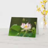 蓮の花池 カード (黄色い花)