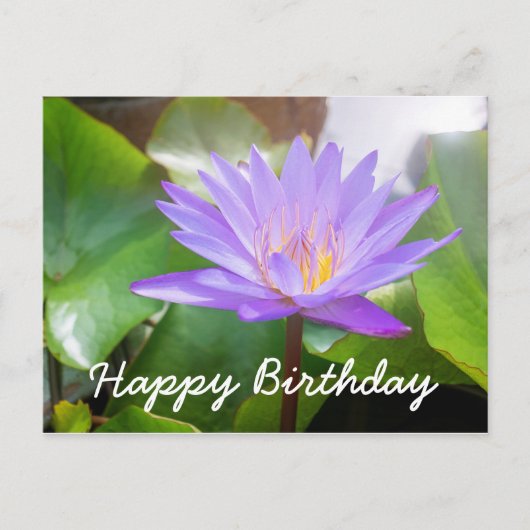 蓮の花紫色のパッ離れド付き色 ポストカード (正面)