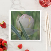 蓮の花 (インサイチュ)