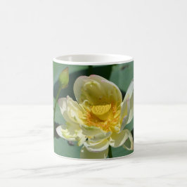蓮の花 コーヒーマグカップ