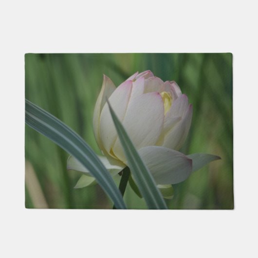 蓮の花 ドアマット (正面)