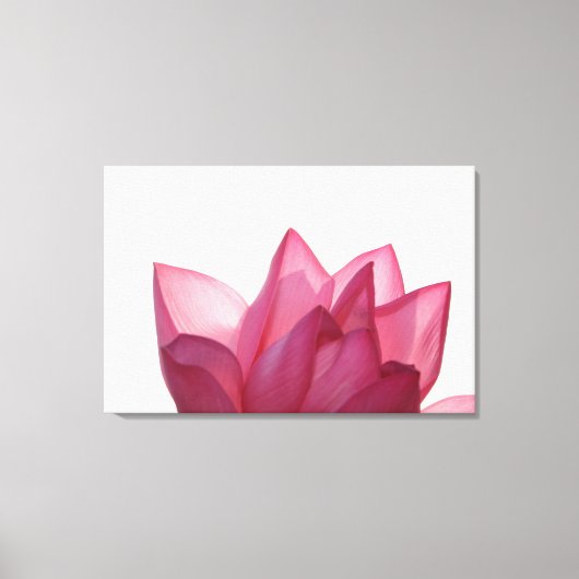 蓮の花[ハス]が満開 キャンバスプリント (正面)
