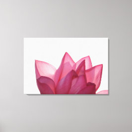 蓮の花[ハス]が満開 キャンバスプリント