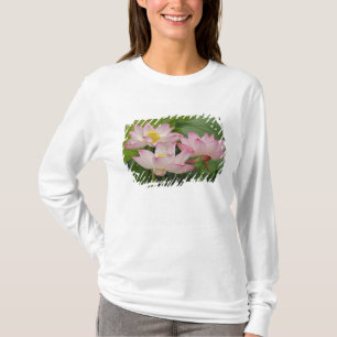 蓮の花、ハス、インド蓮、中国 2 Tシャツ
