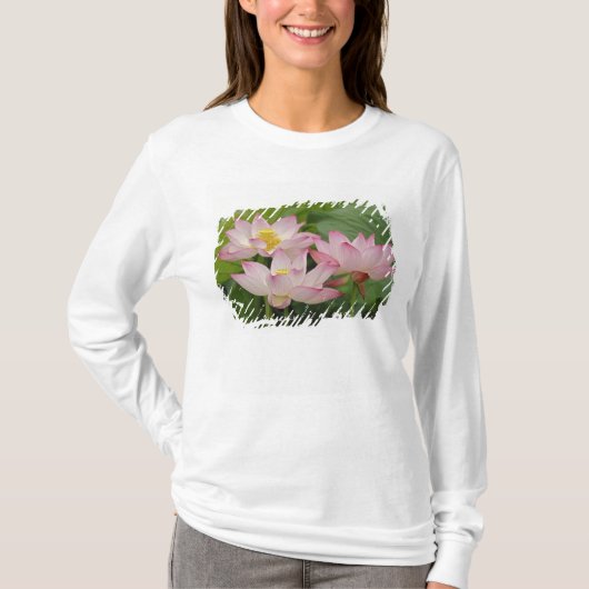 蓮の花、ハス、インド蓮、中国 2 Tシャツ (正面)