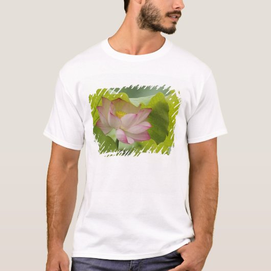 蓮の花、ハス、中國 Tシャツ (正面)