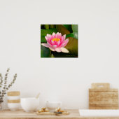 蓮の花、ピンク、リリーのパッドに金ゴールドの中心を持つ ポスター (キッチン)