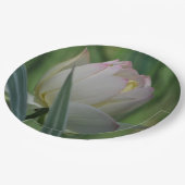 蓮の花 ペーパープレート (アングル)