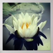 蓮の花 ポスター (正面)