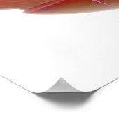 蓮の花 ポスター (角)