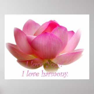 蓮の花 ポスター