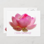 蓮の花 ポストカード (正面/裏面)
