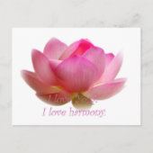 蓮の花 ポストカード (正面)