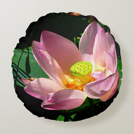 蓮の花 ラウンドクッション (正面)