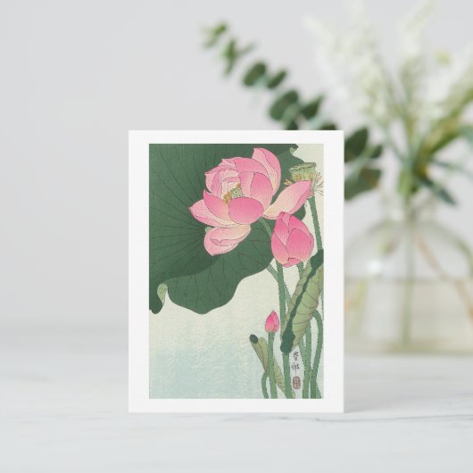 蓮の花,小原古邨ハス花,大原小村,浮世絵 ポストカード (スタンド正面)