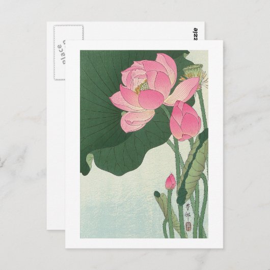 蓮の花,小原古邨ハス花,大原小村,浮世絵 ポストカード (正面/裏面)