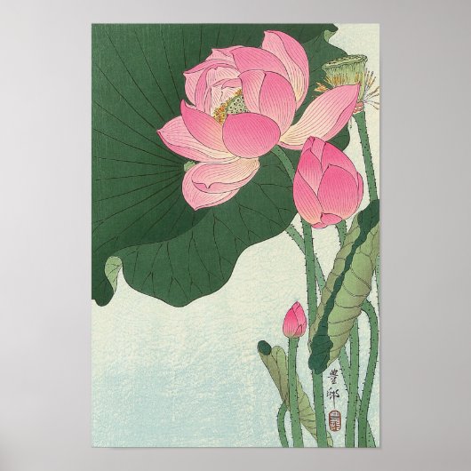 蓮の花, 小原古邨 Lotus flower, Ohara Koson, Ukiyo-e ポスター (正面)