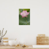 蓮の花(Nelumbo nucifera)のクローズアップ ポスター (キッチン)