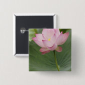蓮の花(Nelumbo nucifera)のクローズアップ 缶バッジ (正面&裏面)