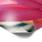 蓮の花[Nelumbo speciosum]フル フォトプリント (角)