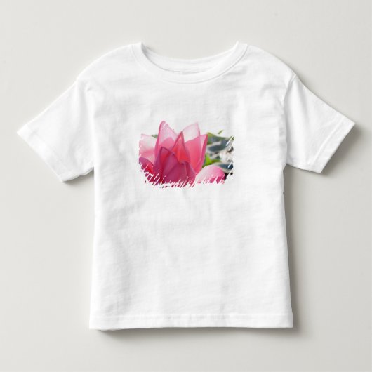 蓮の花 [Nelumbo speciosum] 満開 トドラーTシャツ (正面)