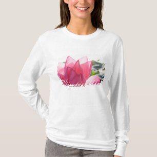 蓮の花 [Nelumbo speciosum] 満開 Tシャツ