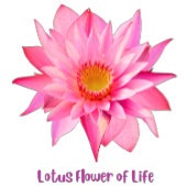 蓮の花 Tシャツ