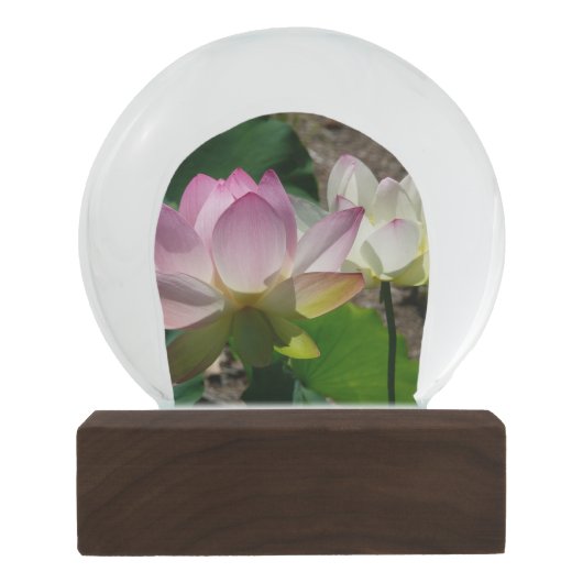 蓮の花I スノーグローブ (裏面)